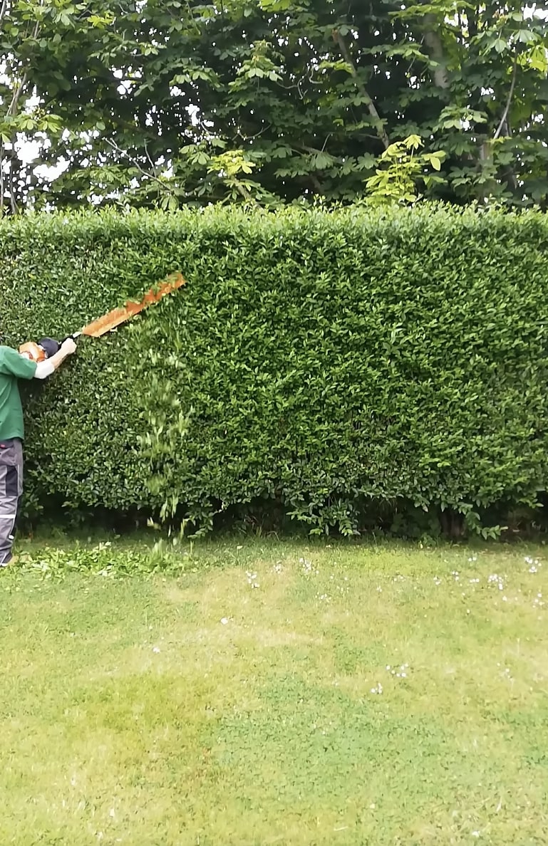Shrub & Hedge Trimming service in San Juan Capistrano, CA
